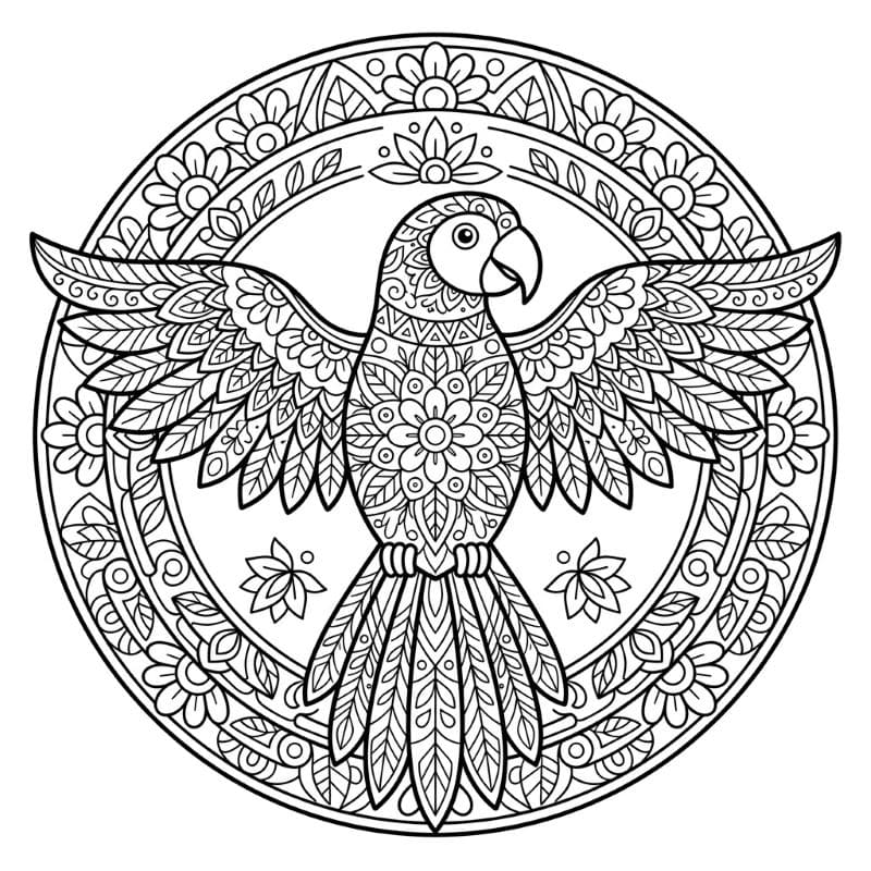 Coloriage Mandala: Perroquet incroyable Mandalas