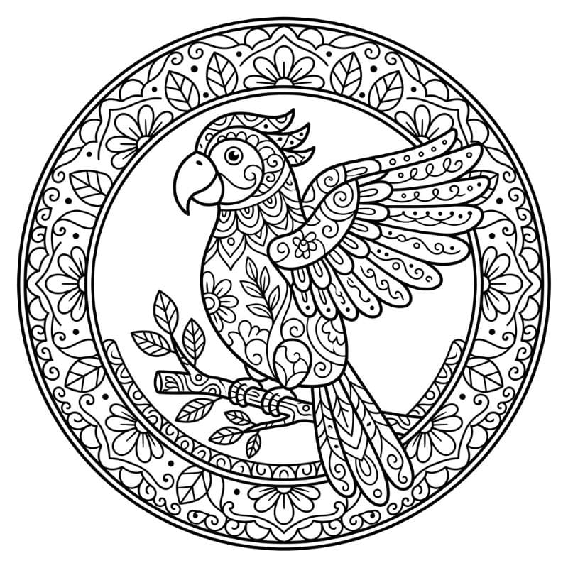 Coloriage Mandala: Perroquet mignon Mandalas