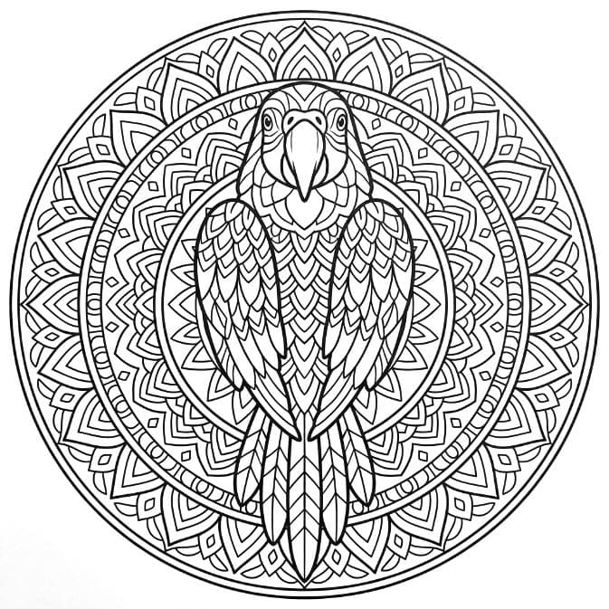 Coloriage Mandala: Perroquet parfait Mandalas
