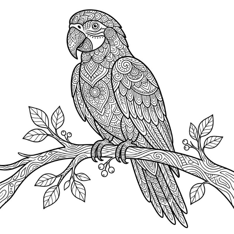 Coloriage Mandala: Perroquet pour adultes Mandalas