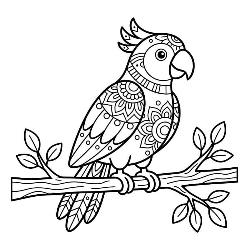 Coloriage Mandala: Perroquet pour enfants Mandalas