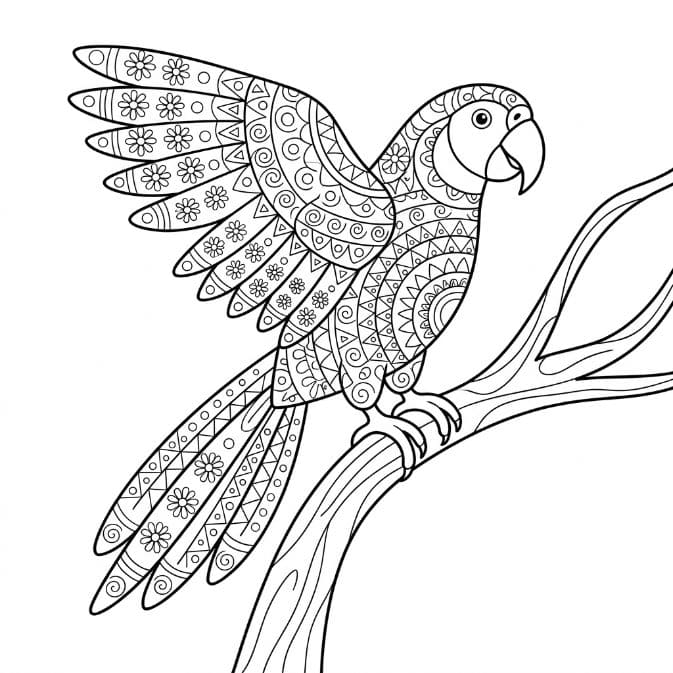 Coloriage Mandala: Perroquet sur une branche d'arbre Mandalas