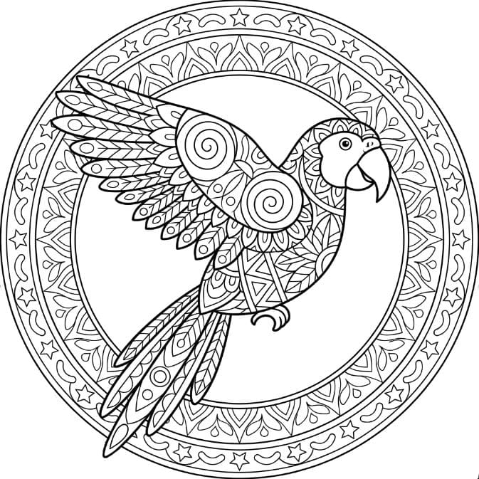 Coloriage Mandala: Perroquet volant Mandalas
