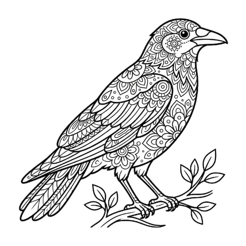 Coloriage Mandala: Corbeau debout Mandalas