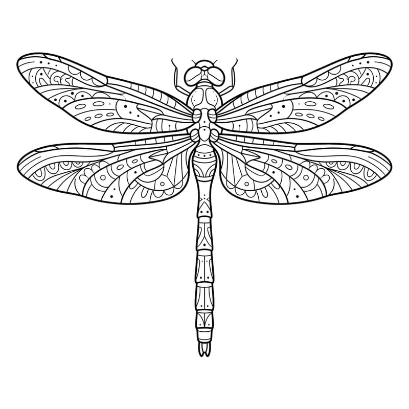 Coloriage Mandala: insecte stylé Mandalas